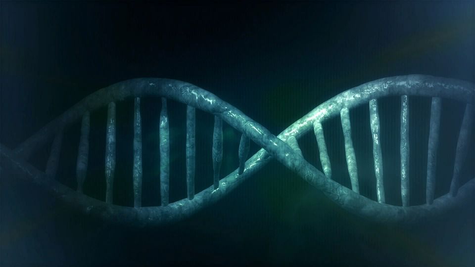 Вчені створили ДНК-трансформер. Створена вченими ДНК складається з 8 нуклеотид.