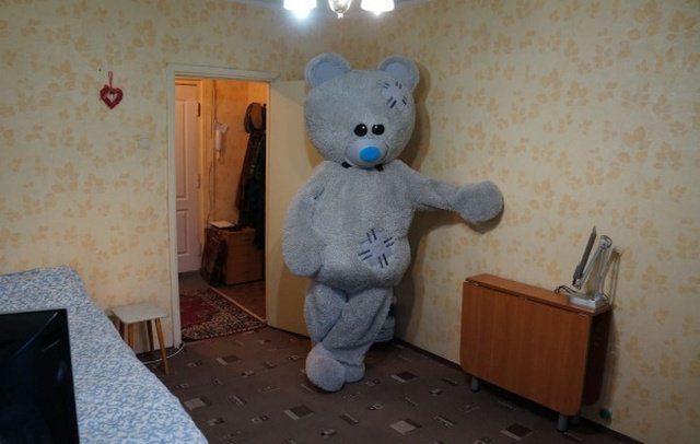 Чоловік вирішив здати квартиру оригінальним способом: показав її з допомогою ведмедя. Вийшло цікаво.