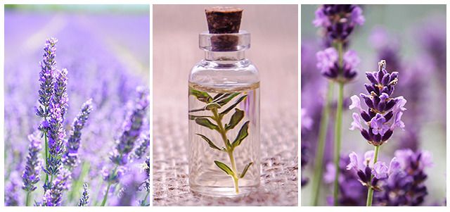 Як вибрати ідеальний парфум на весну і на що варто звернути увагу. Ми пропонуємо вам розібратися, якими повинні бути весняні парфуми для жінки і чоловіка.