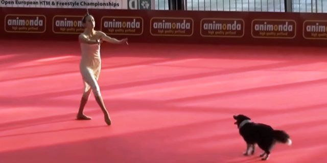 Всі були приголомшені танцем собаки і її хазяйки. Наступний відео ролик – це, можливо, найкращий спільний артистичний танець людини і собаки, який можна знайти в інтернеті.