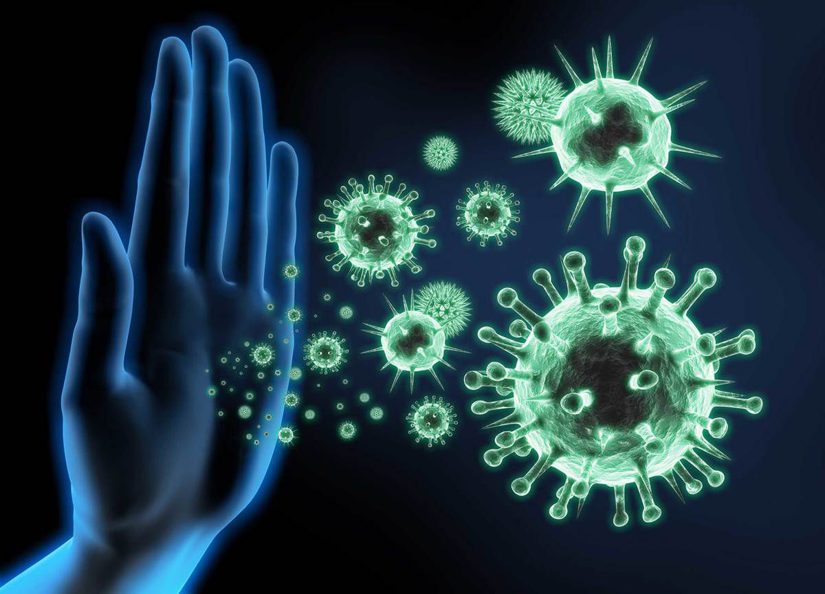 Всесвітній день імунітету - відзначається 1 березня. Головне завдання цього свята - інформування людства про те, як важлива імунна система організму і як вона допомагає впоратися організму з вірусами і бактеріями.
