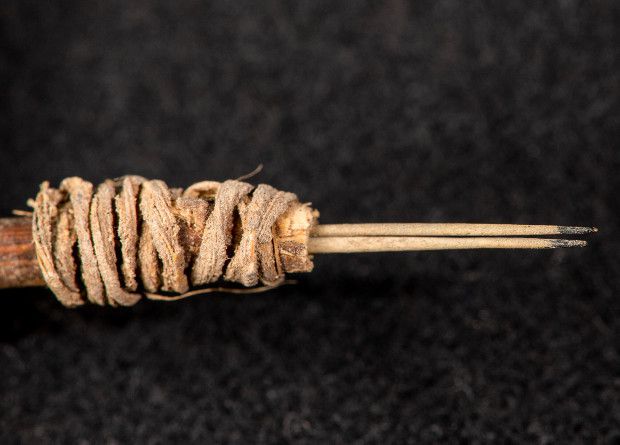 Археологи знайшли інструмент для татуювань віком 1900 років. Він являв собою дві кактусові колючки, прив'язані до палички, фарбою служило палене вугілля.