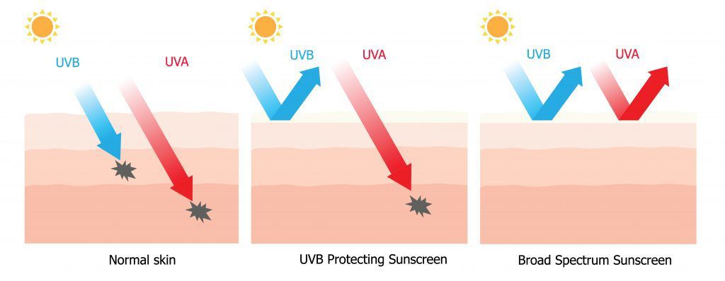 Креми з SPF — які обрати, щоб не натрапити на застарілі та небезпечні фільтри. Хороший сонцезахисний крем повинен містити сучасні UVA і UVB фільтри - фотостабільні, широкого спектру дії.