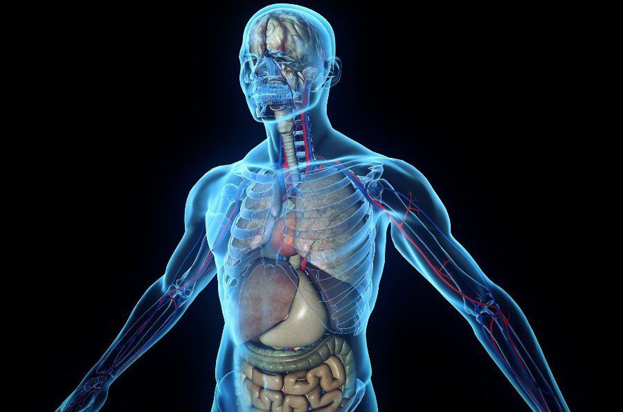 Цікаві і важливі факти про можливості нашого організму. 5 неймовірних здібностей людського організму.