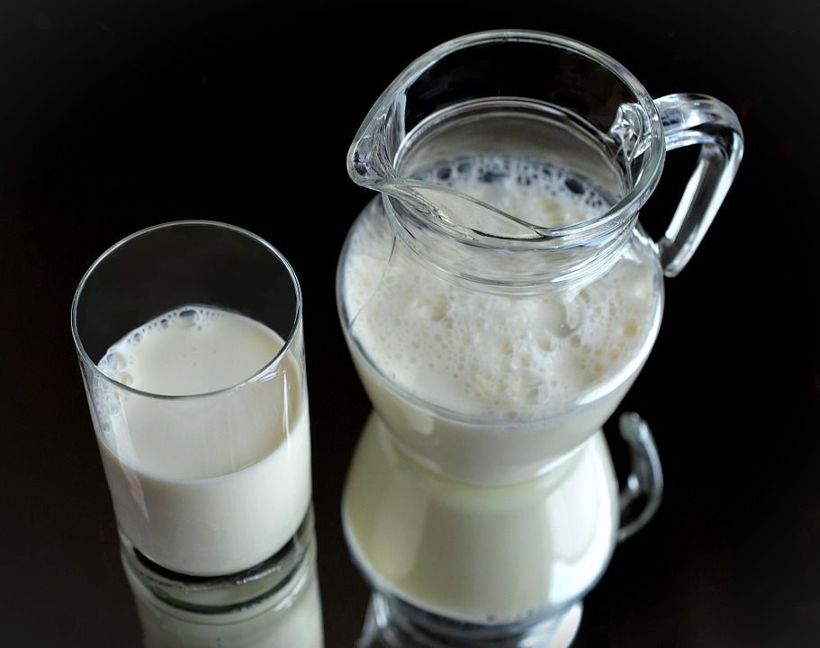 Вчені розповіли про небезпеку парного молока. Лабораторні дослідження показали, що парне (непастеризоване) молоко є джерелом небезпечних інфекцій.