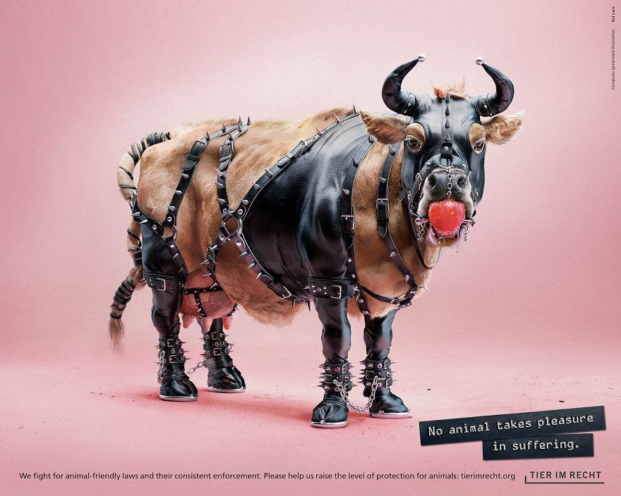 Соціальна реклама з тваринами спантеличила суспільство. Реклама, яка покликана захистити тварин від жорстокого поводження.