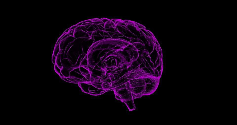 Американські вчені наблизилися до створення "синтетичного мозку". При цьому, свої "спогади" він стане зберігати "в сріблі".