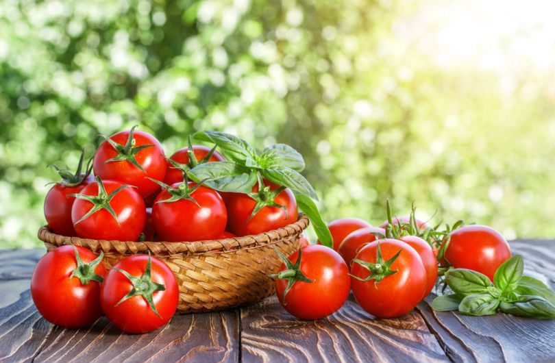 Найбільш поширені помилки при вирощуванні томатів. Прислухайтесь до наших порад і усуньте проблеми, які у вас виникли.