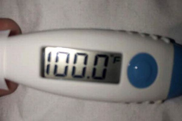 Неочікуваний "подарунок": хлопець переплутав термометр з тестом на вагітність. Хлопець переплутав термометр з тестом на вагітність і з переляку зробив дівчині пропозицію.
