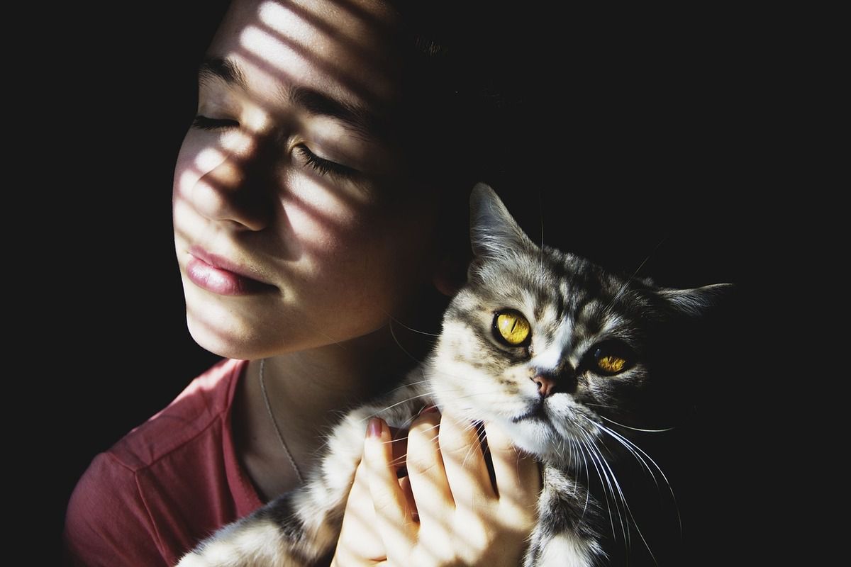 Фахівці розповіли про лікувальні властивості кішок. Відомо, що муркотання домашніх вихованців позитивно впливає на організм людини.