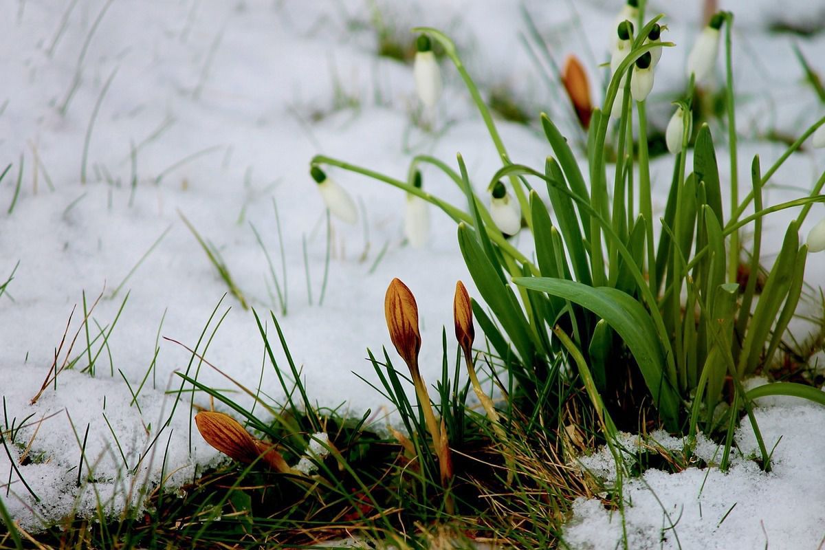 Прогноз погоди в Україні на 14 березня 2019: місцями невеликі опади, вночі морози. Синоптики прогнозують в Україні нічні морози і помірно теплу погоду вдень.