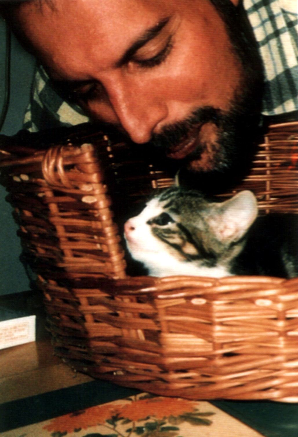 Фотоархів: улюблені кішки легендарного Фредді Мерк'юрі. Любов довжиною в життя!