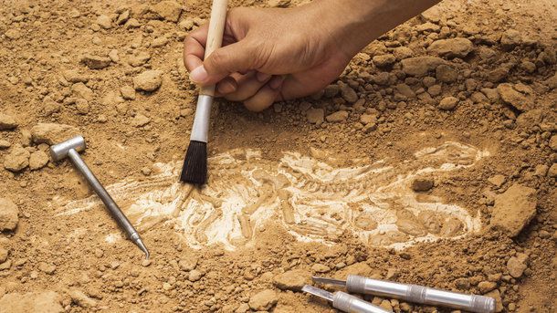Археологи знайшли напис, який підтвердив місце розташування набатеїв. Це перше документальне підтвердження того, що руїни в пустелі Негев були містом Халуца.