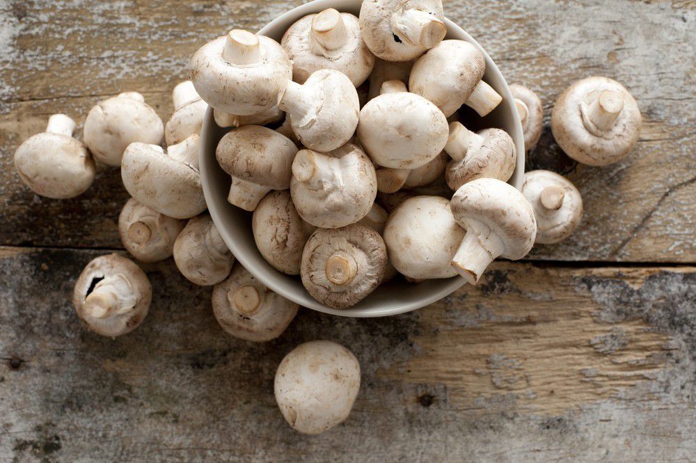 Дві порції грибів на тиждень в рази скорочують ризик недоумства в старості. Їжте на здоров'я!