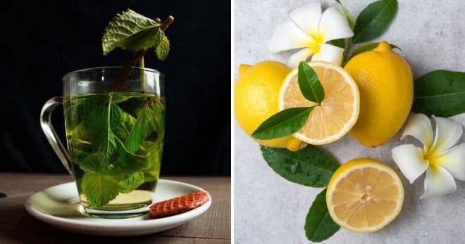 Найбільш корисні комбінації продуктів. Також вони смачні та вишукані.