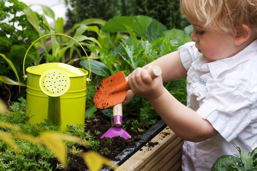 Садівництво разом з дитиною: чим воно може бути корисним при вихованні. Як залучити дітей до садівництва та городництва.