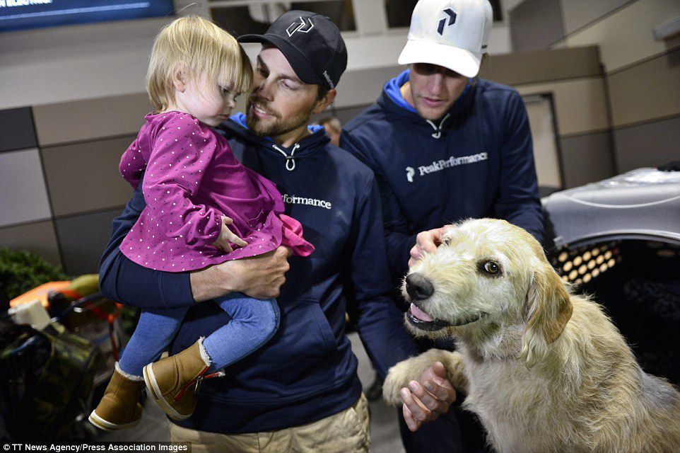 Спортсмен нагодував бездомну собаку. Але він і уявити не міг, до чого це призведе. Побільше б таких людей!