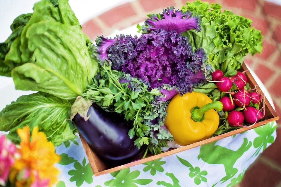 Дачний сезон: "сусіди" для овочів. Найкраще садити все, нехай і в невеликій кількості.