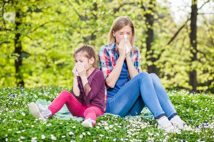 Сезонна алергія: поради, які допоможуть легше пережити поліноз. Де знайти порятунок і як найлегше можна пережити небезпечний період?