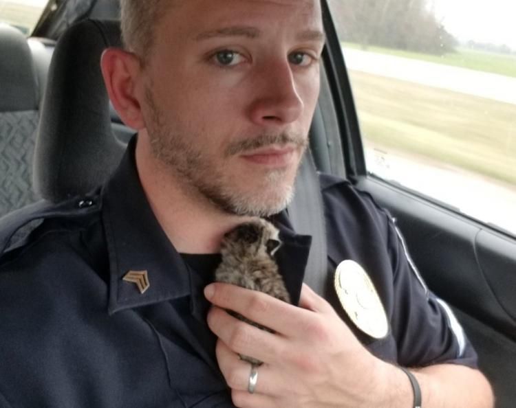 Поліцейський три дні шукав новонароджене кошеня, щоб врятувати його. Ергант з дружиною приєдналися до програми допомоги бродячим тваринам, конкретно - кішкам.