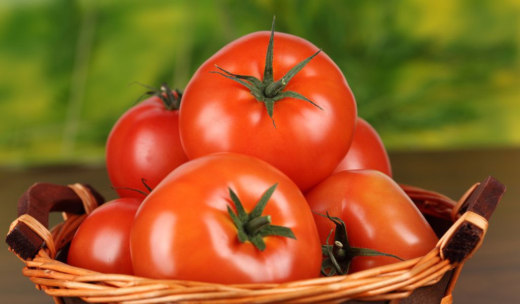 Чому розтріскуються томати: причини тріщин. Така проблема може бути викликана багатьма факторами, наприклад, якоюсь інфекційною хворобою або генетикою сорту.