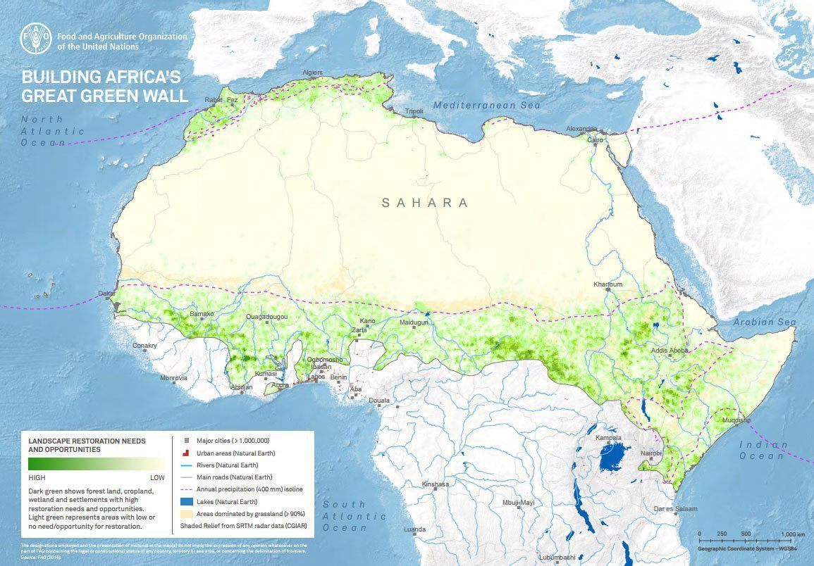 Понад 20 африканських країн будують Велику зелену стіну з дерев, щоб зупинити Пустелю Сахару. Сахара захоплює африканський континент.