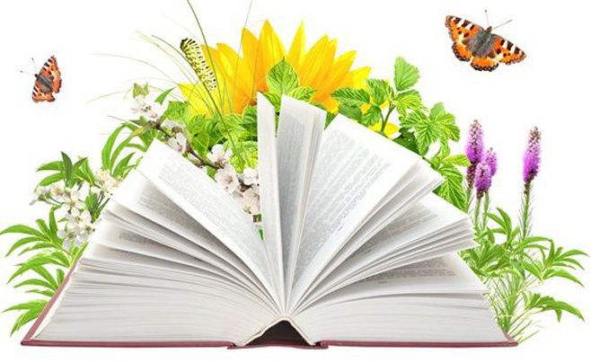 Міжнародний день екологічних знань — святкують 15 квітня. Знання екології необхідні кожному, щоб навчитися берегти навколишнє середовище.