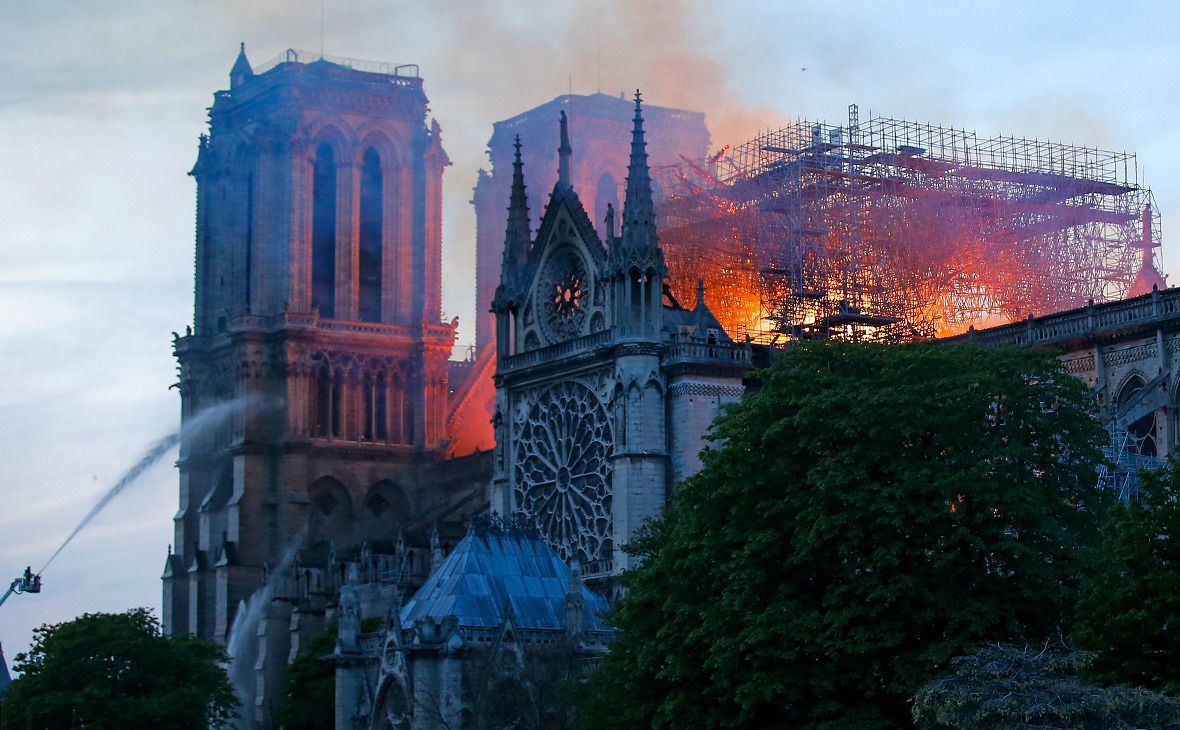 Під час пожежі в соборі Паризької Богоматері вижило 180 тисяч бджіл. За словами одного з наглядачів собору, вогонь не зачепив вулики.
