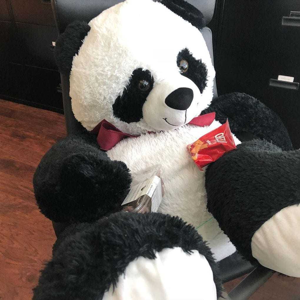 Ця панда була викинута на смітник, але небайдужі люди врятували її й навіть допомогли завести Instagram. Вони прихистили бідолаху і вирішили, що після такого стресу панді потрібно курс реабілітації.