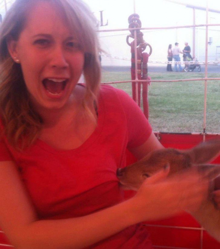 Коли невдачі йдуть по п'ятах, чинити опір марно. Весела добірка.