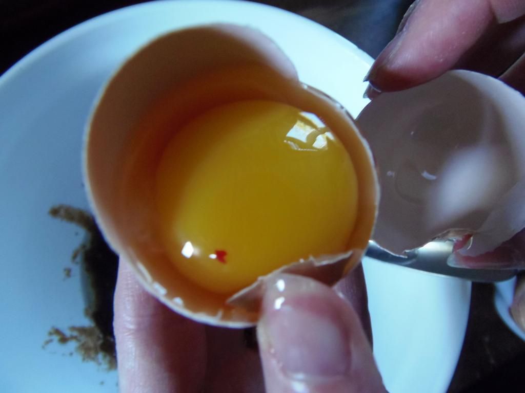 Чи можна їсти яйце, якщо там присутні краплі крові?. Курячі яйця — один з найбільш часто використовуваних продуктів, які завжди можна знайти у холодильниках більшості з нас.