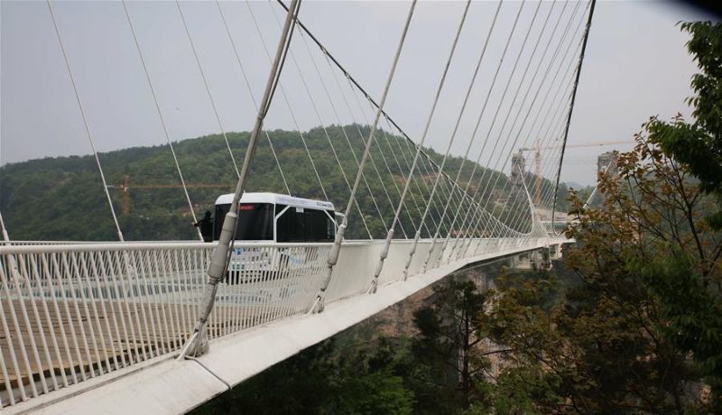 По найдовшому і найвищому скляному мосту пустили автобус, щоб довести, наскільки він безпечний. Зробили це для того, щоб перевірити міцність мосту.