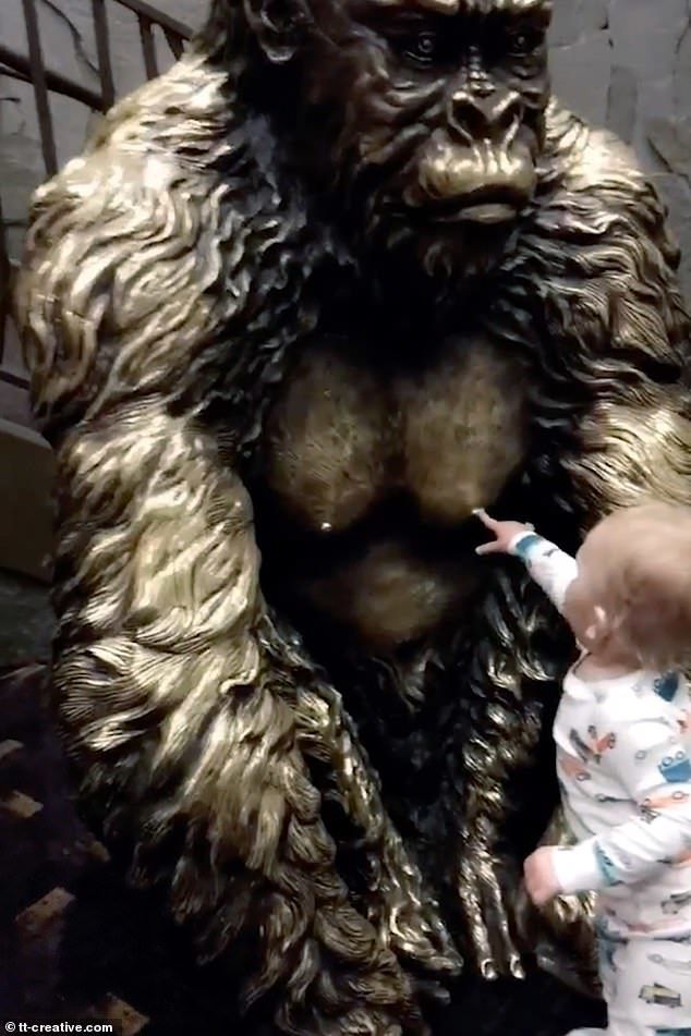 Це веселий момент, коли голодний малюк намагається попити молока у бронзової статуї горили. Голодний малюк вирішив зробити те, що вміє краще за все.