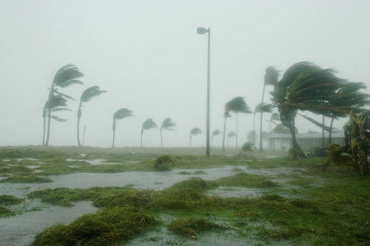 Смертоносний циклон Фані з поривами вітру до 200 км/год накрив схід Індії. До штату Одіші на сході Індії прийшов циклон "Фані" з поривами вітру до 200 км/год.