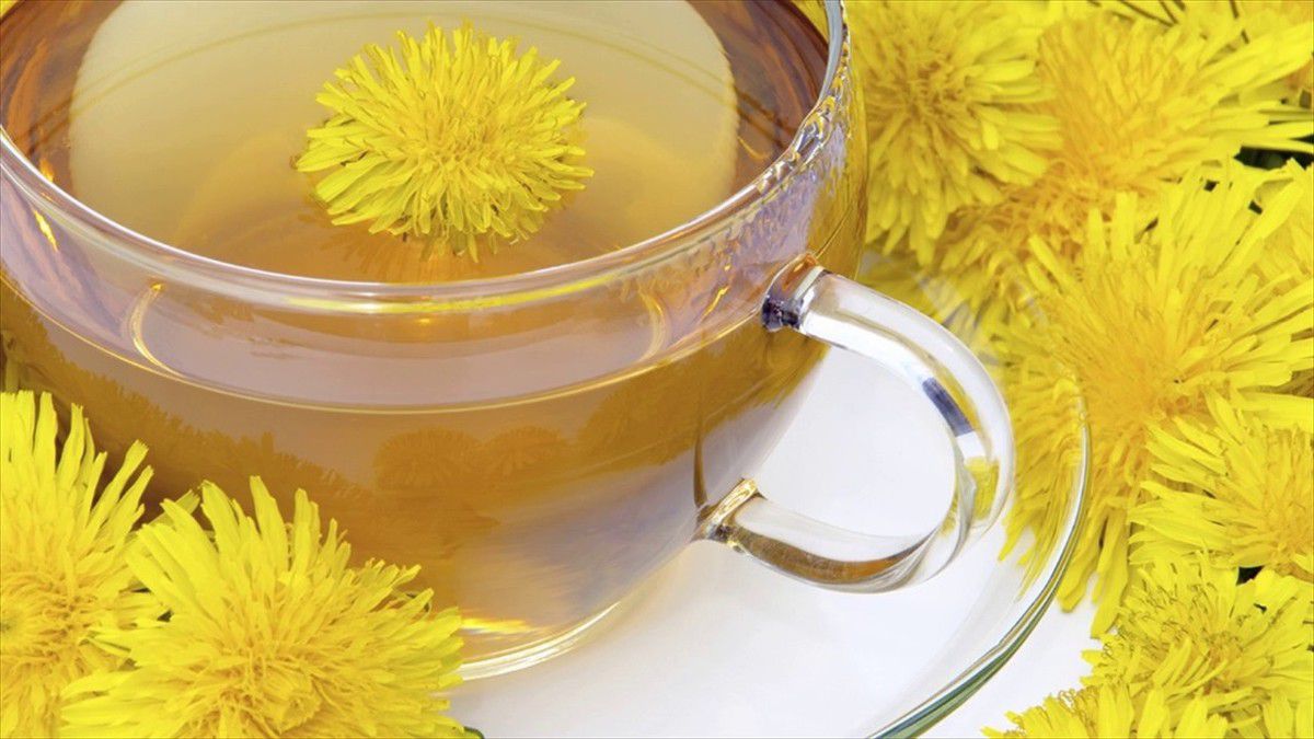 Ось 7 речей, які відбудуться з вашим тілом, якщо ви почнете пити чай з кульбаби. Ця чудо-рослина росте на будь-якому газоні.