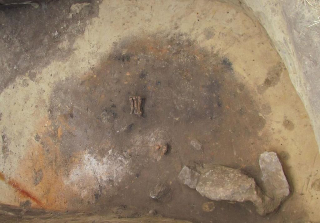 У Польщі знайшли незвичайну могилу з ведмежою лапою та розчленованими тілами людей. Гробниці 4,5 тисячі років.