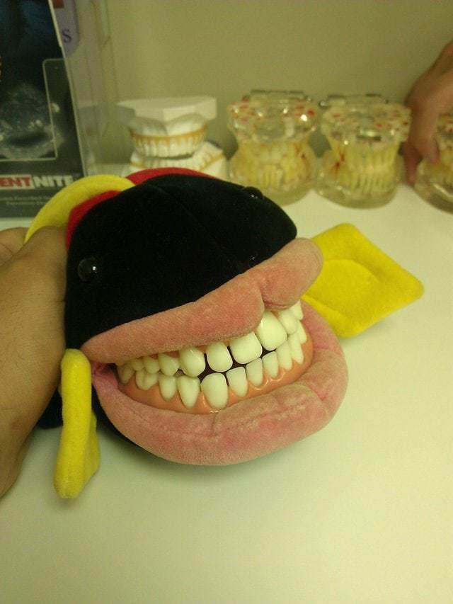 М'які іграшки з кабінетів дитячих стоматологів, від вигляду яких тягне перехреститися. Ви тільки погляньте на цих чудовиськ.