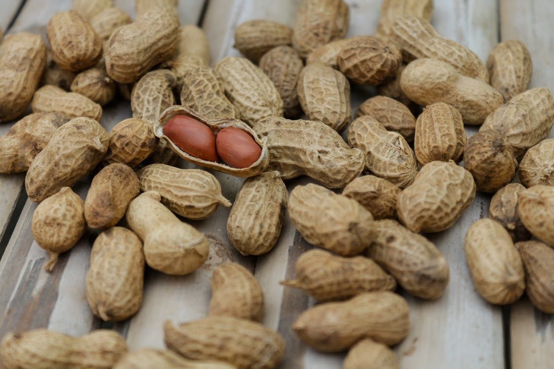 Арахіс: вирощування, догляд, корисні властивості. Найпростіше здійснювати вирощування арахісу тоді, коли цвіте акація.