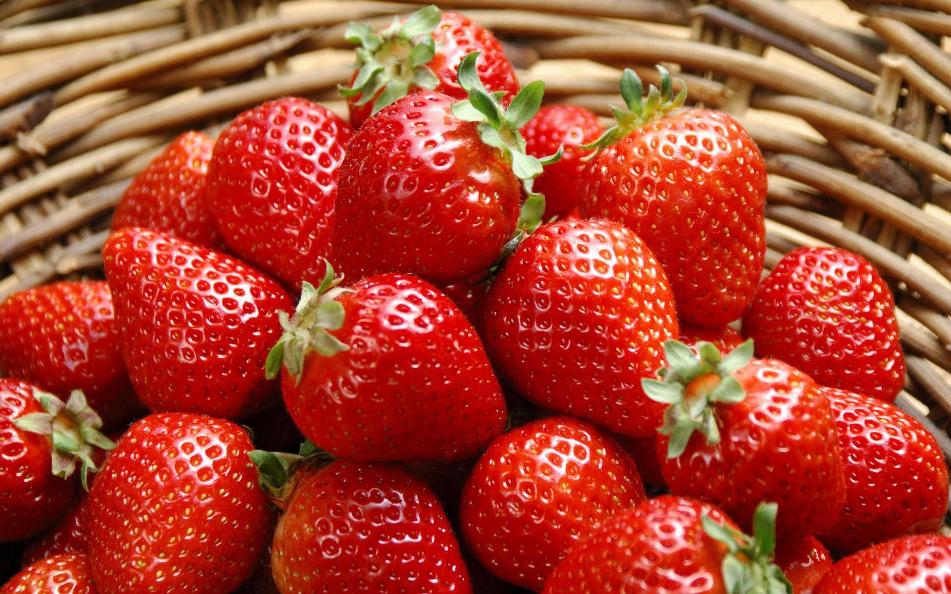 Українська компанія "Українська ягода" почне постачання полуниці у Францію. Термін дії міжнародного контракту складає три роки.