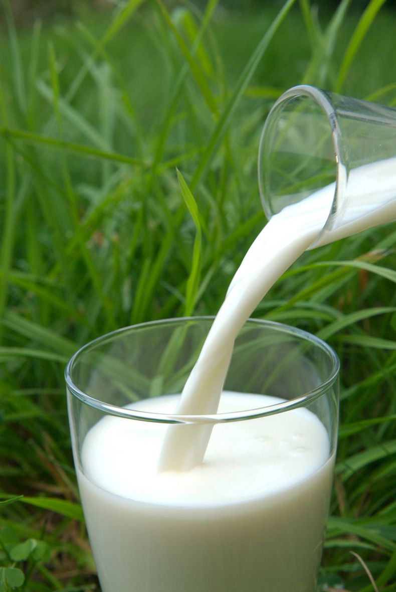 7 сигналів організму, які говорять, що вам варто відмовитися від молока. Для того, щоб в нашому організмі лактоза правильно перетравлювалася і засвоювалася, у людини повинен бути фермент лактаза.