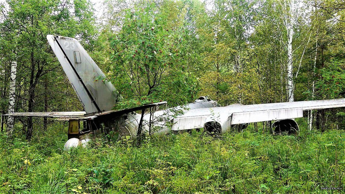 Літак-привид з лісу: знахідка грибника, якій 70 років. Літак часів Другої Світової війни, який пролежав немов привид в лісі цілих 70 років.