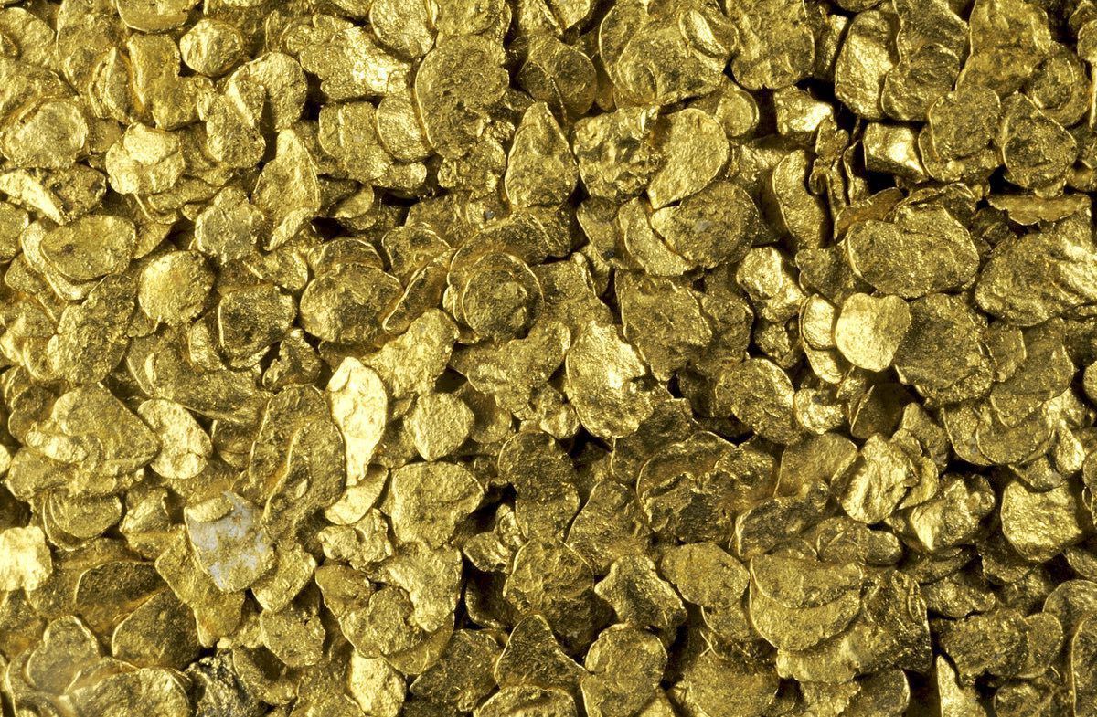 В Австралії знайшли гриби, які виділяють золото. Мікроскопічні гриби здатні поглинати розчинене золото і відкладати його у вигляді чистого металу.