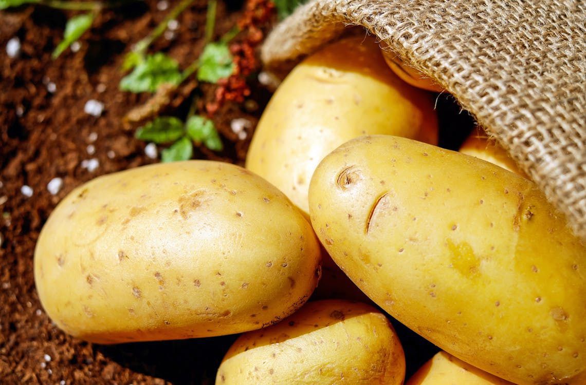 В Україні різко подешевшала молода картопля. Ціни на молоду картоплю впали до найнижчого за 3 роки рівня.