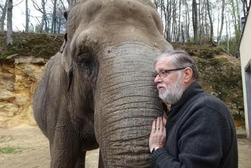 Зустріч слона і чоловіка 32 роки потому: тварина впізнала свого колишнього друга. Слони все пам'ятають!