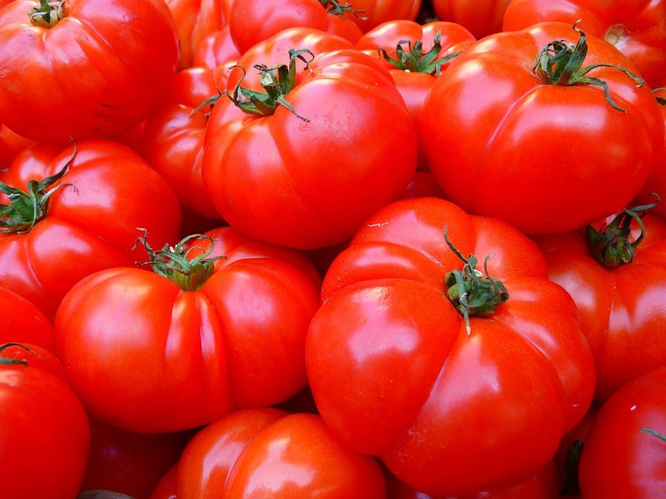 Вчені виявили гени, які зроблять помідори смачнішими. Масштабний аналіз торкнувся майже п'яти тисяч генів томатів.