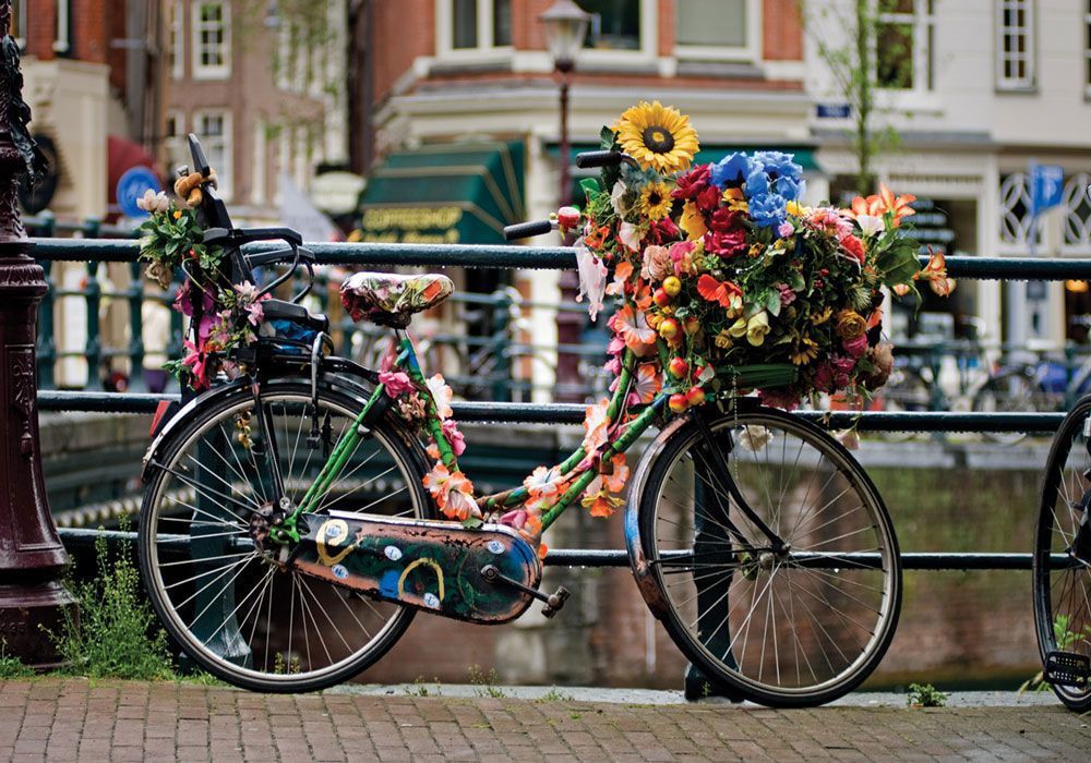Всесвітній день велосипеда відзначається 3 червня. Свято було засноване Генеральною асамблеєю ООН в 2018 році.