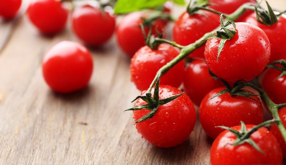 Дослідження вчених: чому томати не варто зберігати в холодильнику?