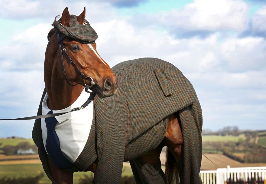 Верхній одяг "Коня в пальто" замінили твідовим костюмом-трійкою. Для коня пошили на замовлення костюм-трійку, який був розроблений відомим англійським дизайнером!
