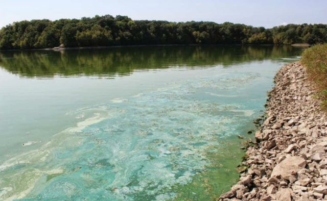 Концентрація отруйних гербіцидів в річці Рось перевищує норму у 200-600 разів. У водоймі немає сильної течії, а значить отрутохімікати не змогли поширитися на велику площу.