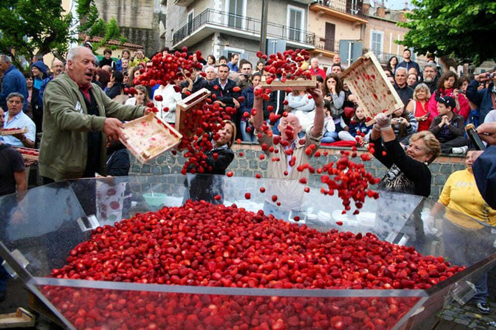 В італійському містечку Немі пройшов Фестиваль полуниці. Полуниця, яка вирощується в Немі, зробила місто популярним далеко за межами Італії.